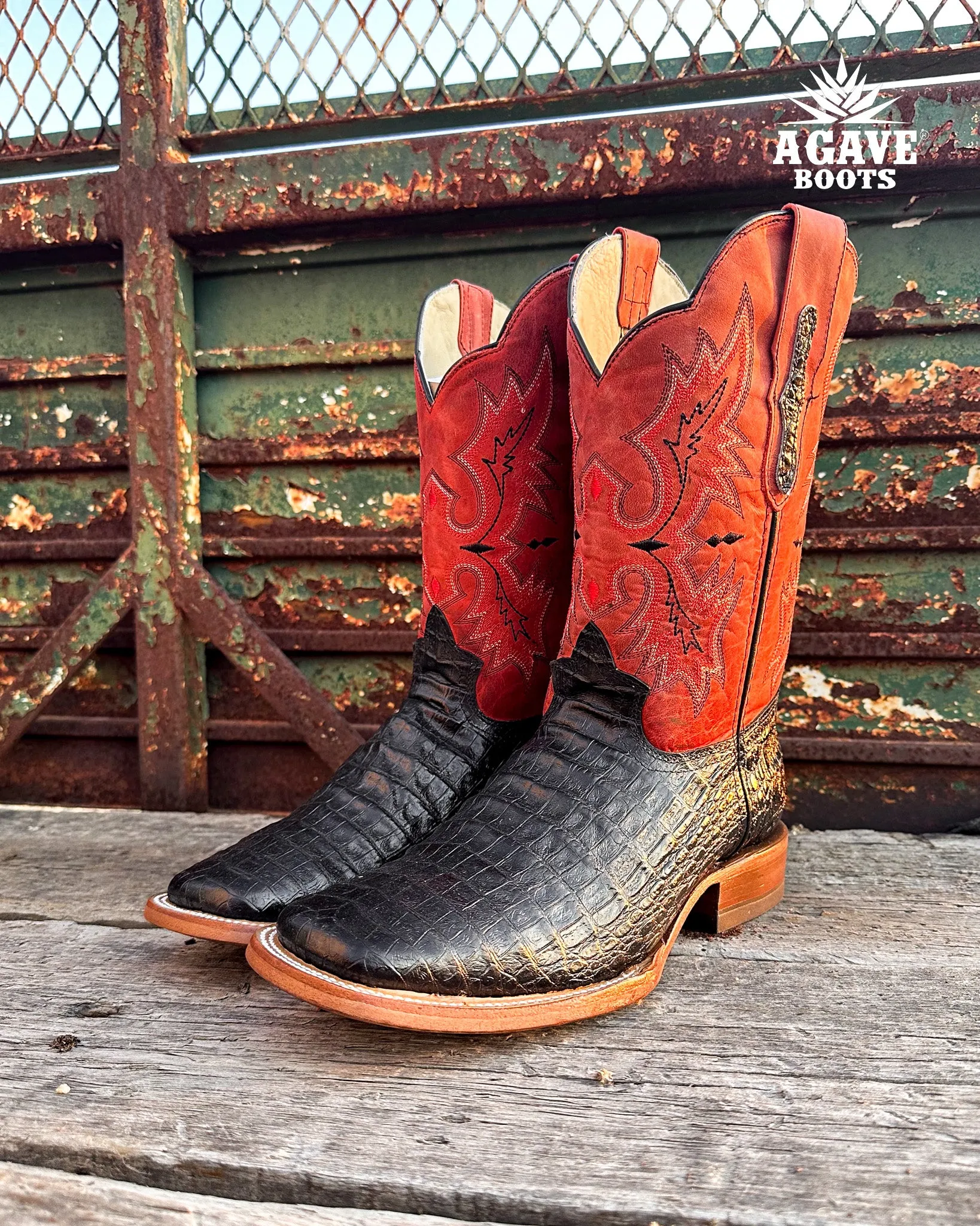 BLACK CAIMAN BELLY | MEN SQUARE TOE BOOTS