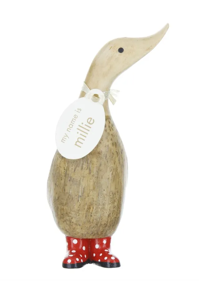 Dinky Duck Spotty Boots